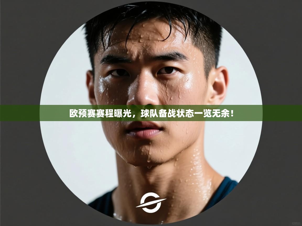 欧预赛赛程曝光，球队备战状态一览无余！  第2张