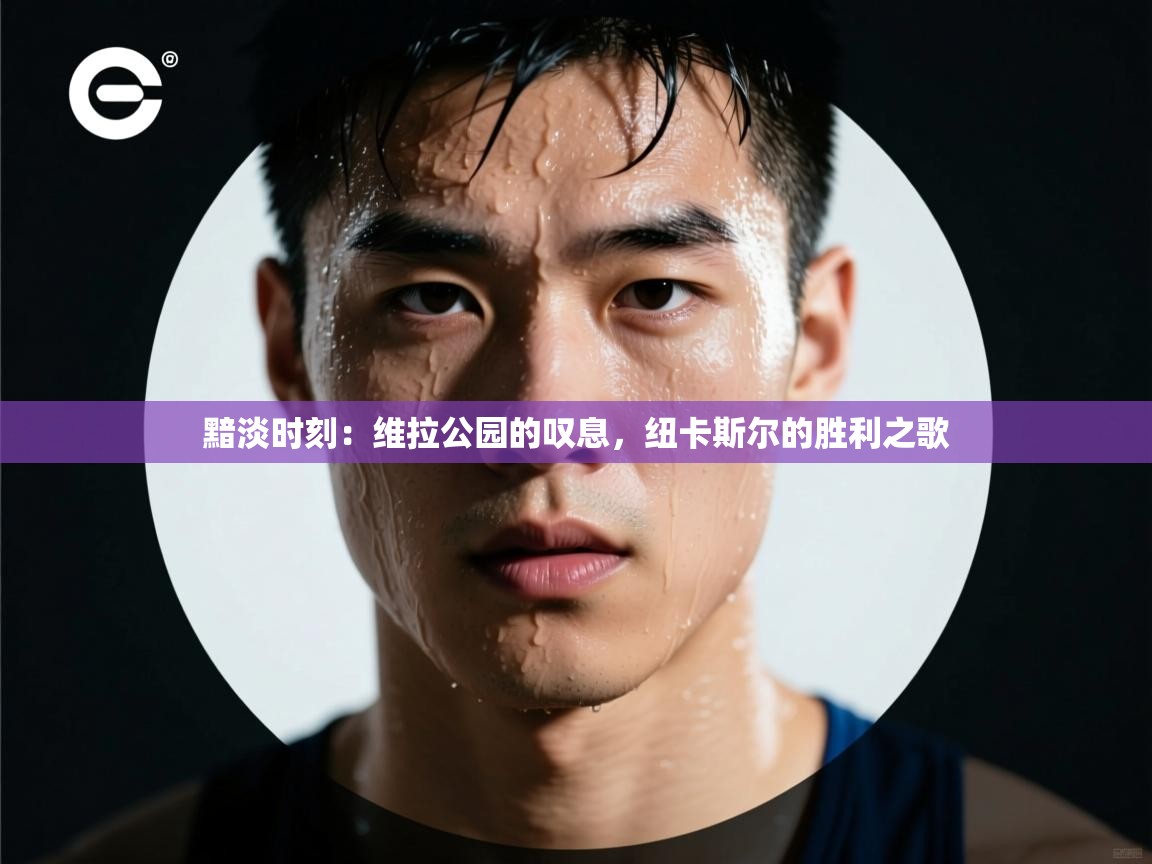 黯淡时刻：维拉公园的叹息，纽卡斯尔的胜利之歌  第2张