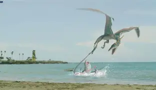鏖战五局，怒海狂鲨终于稳扎稳打拿下比赛，弹幕刷屏炸裂(怒海潜沙秦岭神树全40集)